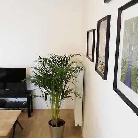 Appartement Proche Chu Avec Balcon Et Parking Lille Zewnętrze zdjęcie