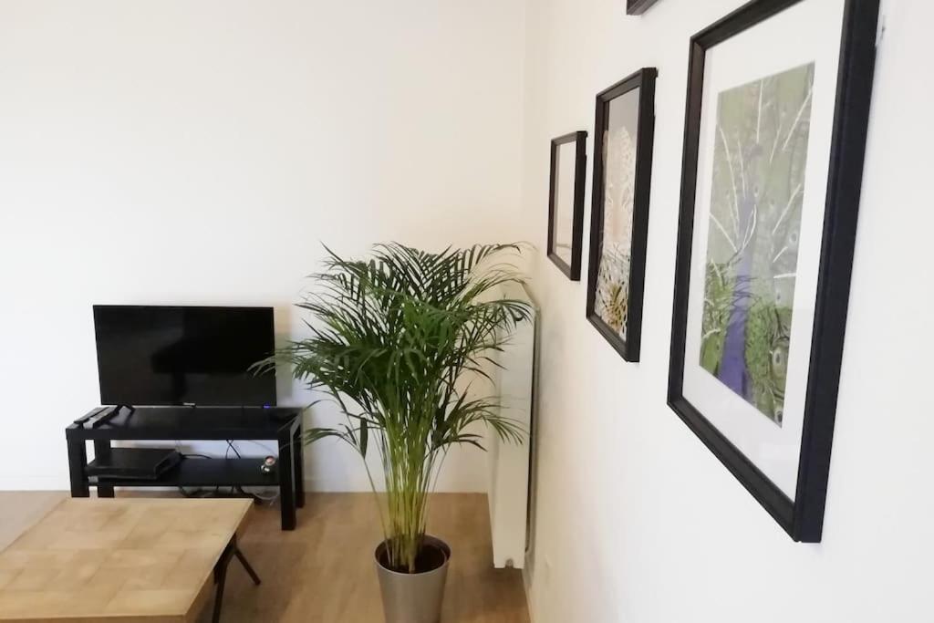 Appartement Proche Chu Avec Balcon Et Parking Lille Zewnętrze zdjęcie