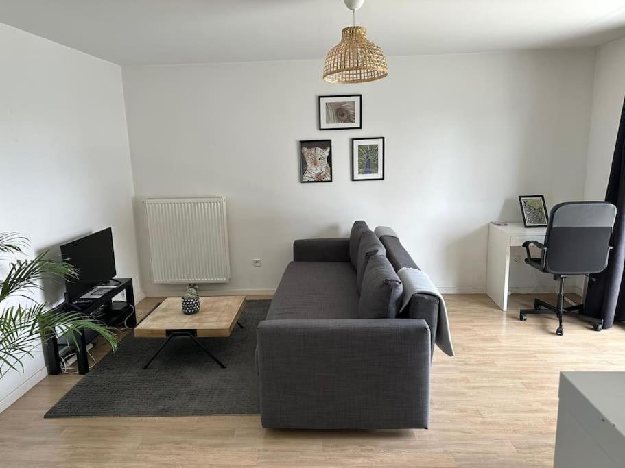 Appartement Proche Chu Avec Balcon Et Parking Lille Zewnętrze zdjęcie