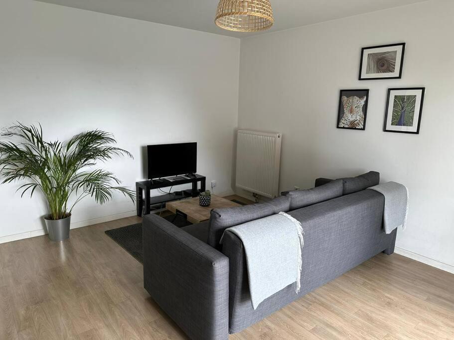 Appartement Proche Chu Avec Balcon Et Parking Lille Zewnętrze zdjęcie
